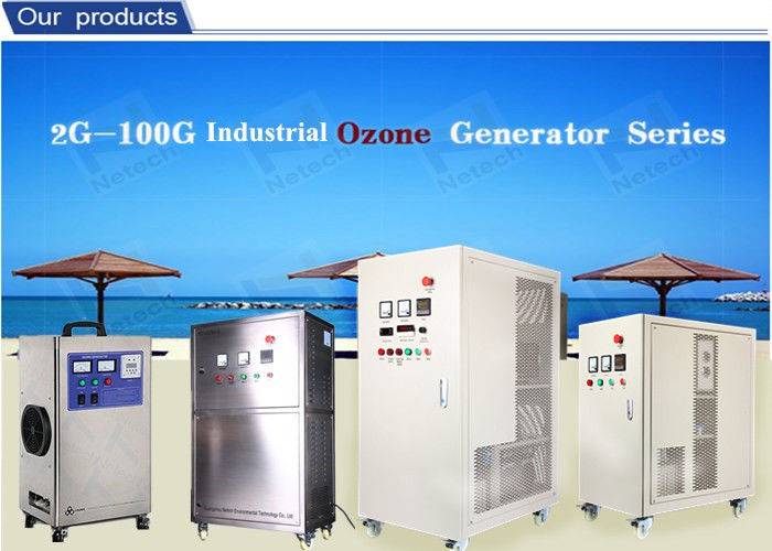 Air Cooled Ozone Generator Water Purification For Cleaning Ozone cleanr Machine 30g